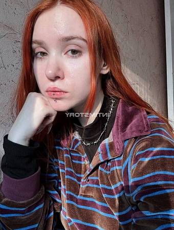 Кошечка Элис