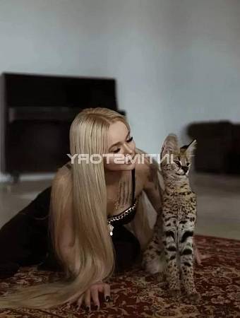 Катюша